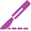 Icono_Quirofanomorado